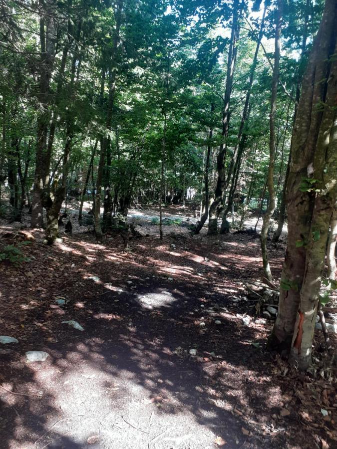 Guesthouse Dioni Valbone Bagian luar foto