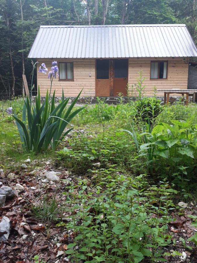 Guesthouse Dioni Valbone Bagian luar foto